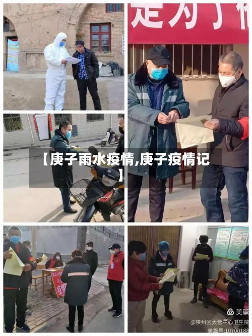 【庚子雨水疫情,庚子疫情记】-第3张图片