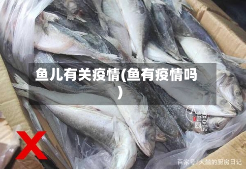 鱼儿有关疫情(鱼有疫情吗)-第3张图片