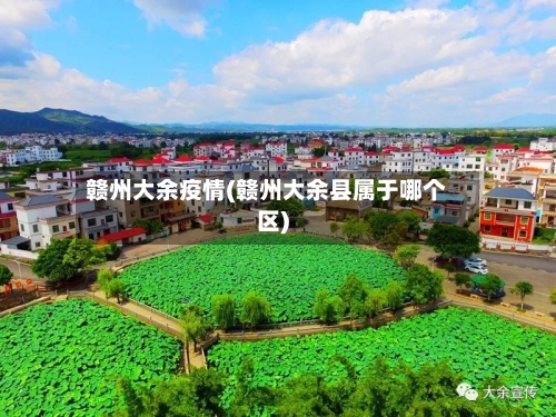 赣州大余疫情(赣州大余县属于哪个区)-第2张图片