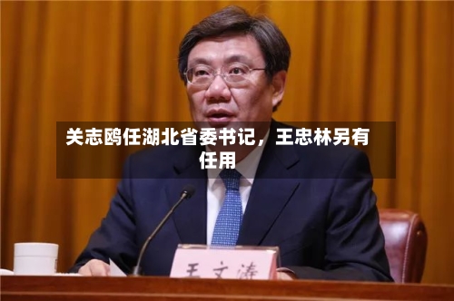 关志鸥任湖北省委书记，王忠林另有任用-第2张图片
