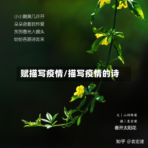 赋描写疫情/描写疫情的诗-第2张图片