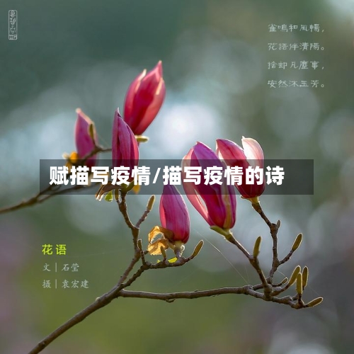 赋描写疫情/描写疫情的诗-第3张图片