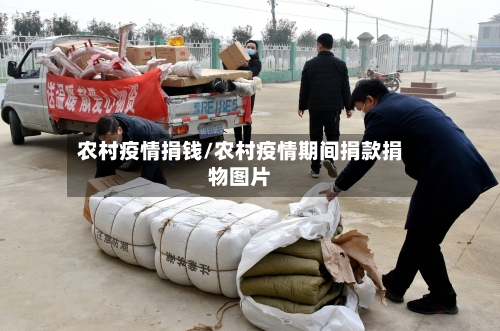 农村疫情捐钱/农村疫情期间捐款捐物图片