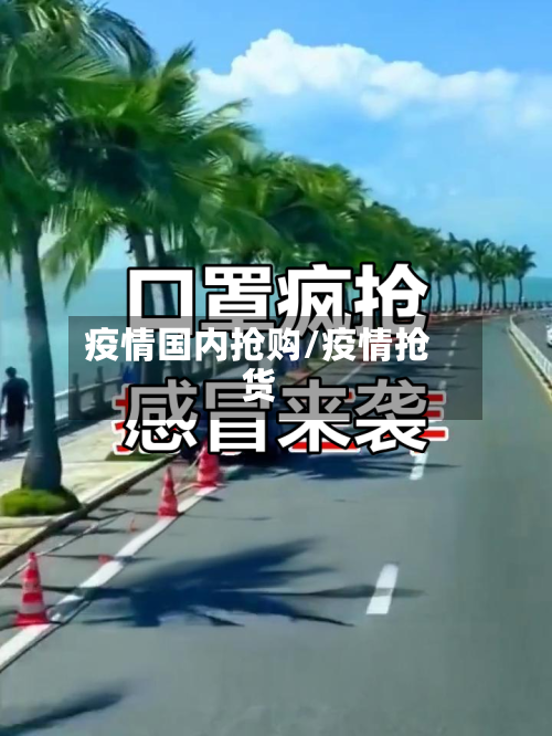 疫情国内抢购/疫情抢货-第2张图片