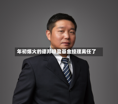 年初爆火的德邦稳盈基金经理离任了-第3张图片
