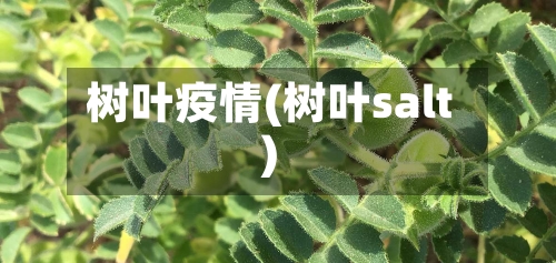 树叶疫情(树叶salt)
