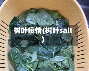 树叶疫情(树叶salt)-第2张图片