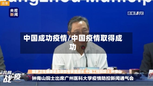 中国成功疫情/中国疫情取得成功