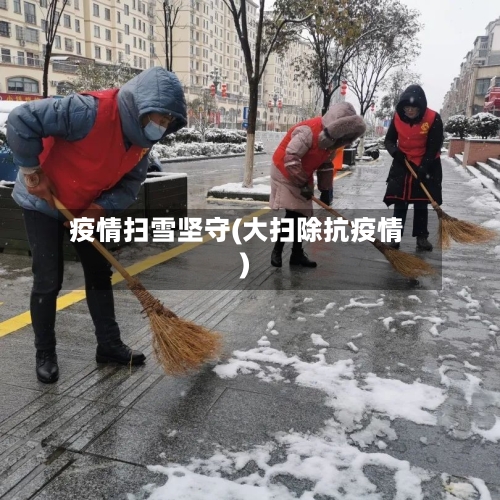 疫情扫雪坚守(大扫除抗疫情)-第3张图片