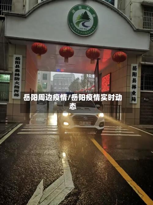 岳阳周边疫情/岳阳疫情实时动态-第2张图片