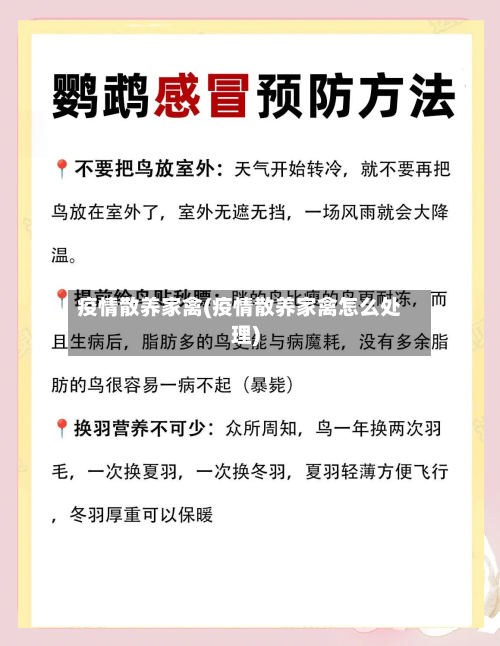 疫情散养家禽(疫情散养家禽怎么处理)