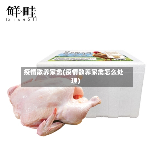 疫情散养家禽(疫情散养家禽怎么处理)-第2张图片