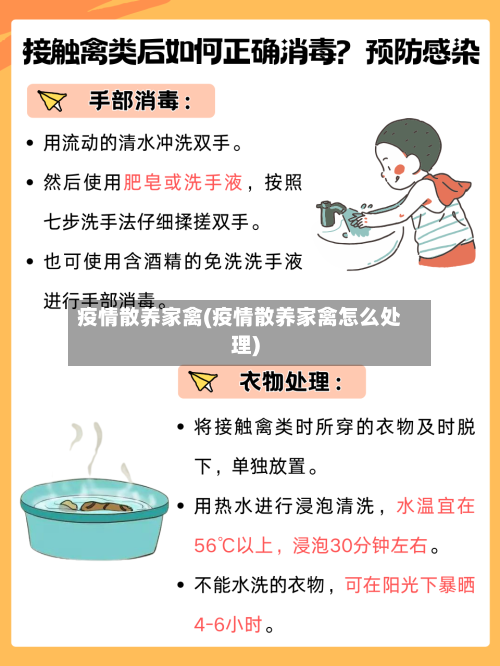 疫情散养家禽(疫情散养家禽怎么处理)-第3张图片