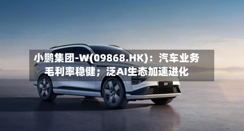 小鹏集团-W(09868.HK):汽车业务毛利率稳健;泛AI生态加速进化-第2张图片