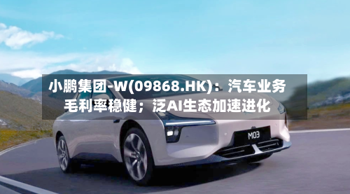 小鹏集团-W(09868.HK)：汽车业务毛利率稳健；泛AI生态加速进化