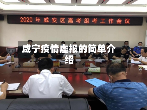 咸宁疫情虚报的简单介绍