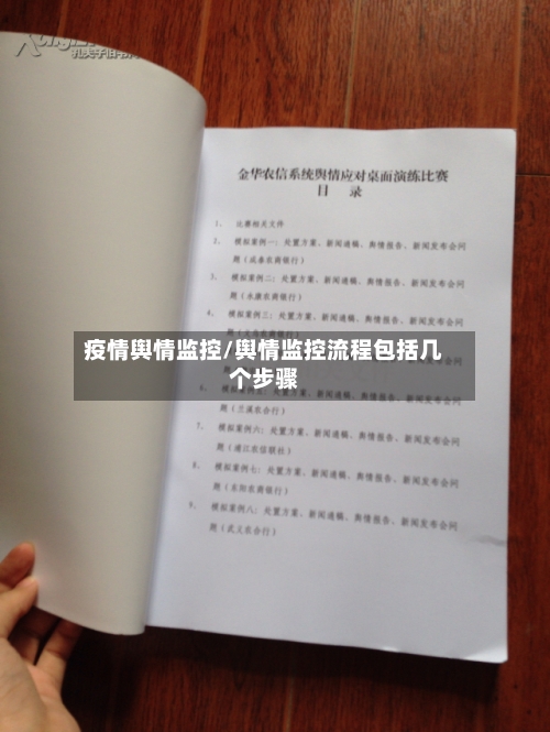 疫情舆情监控/舆情监控流程包括几个步骤