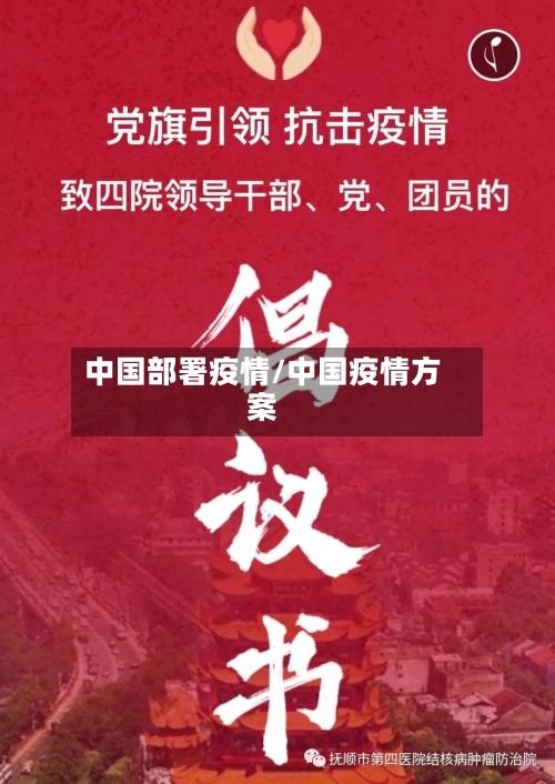 中国部署疫情/中国疫情方案
