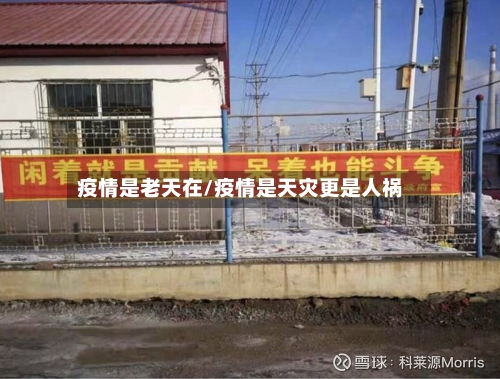疫情是老天在/疫情是天灾更是人祸-第3张图片