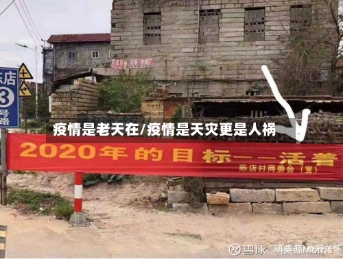 疫情是老天在/疫情是天灾更是人祸-第2张图片