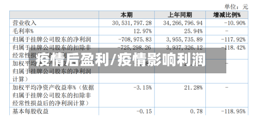 疫情后盈利/疫情影响利润-第2张图片