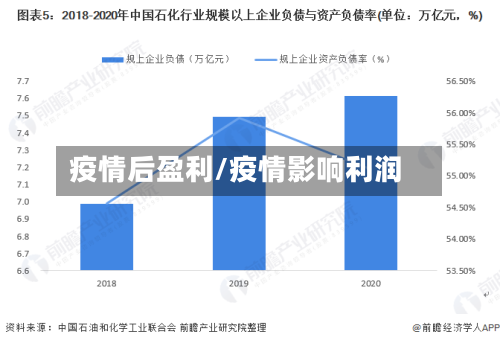 疫情后盈利/疫情影响利润
