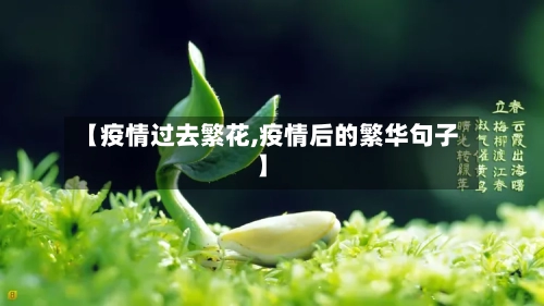 【疫情过去繁花,疫情后的繁华句子】