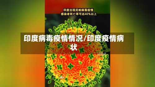 印度病毒疫情情况/印度疫情病状