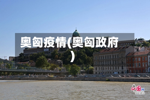 奥匈疫情(奥匈政府)