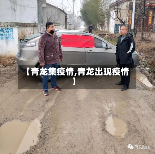 【青龙集疫情,青龙出现疫情】