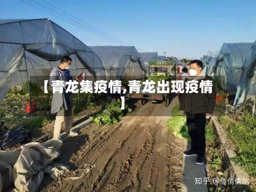 【青龙集疫情,青龙出现疫情】-第2张图片