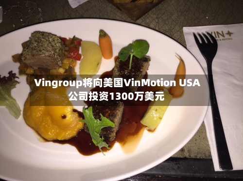 Vingroup将向美国VinMotion USA公司投资1300万美元-第2张图片