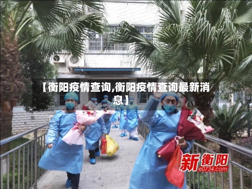 【衡阳疫情查询,衡阳疫情查询最新消息】-第3张图片