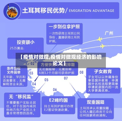 【疫情对微观,疫情对微观经济的影响 论文】