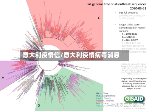 意大利疫情信/意大利疫情病毒消息-第2张图片