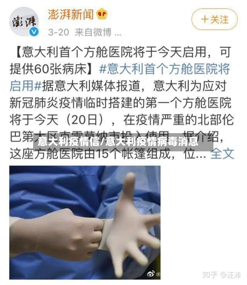 意大利疫情信/意大利疫情病毒消息
