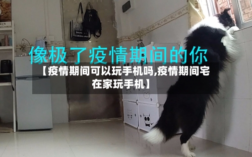 【疫情期间可以玩手机吗,疫情期间宅在家玩手机】