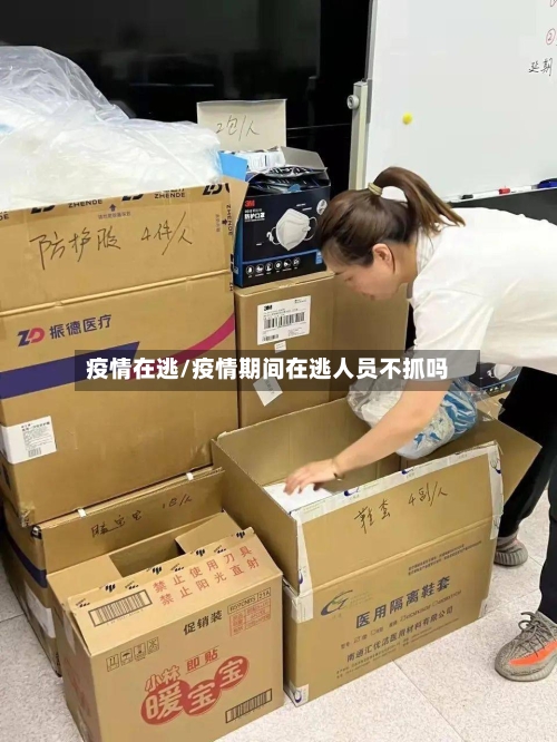 疫情在逃/疫情期间在逃人员不抓吗