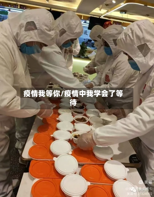 疫情我等你/疫情中我学会了等待-第2张图片
