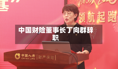 中国财险董事长丁向群辞职