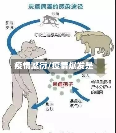 疫情繁衍/疫情爆发是