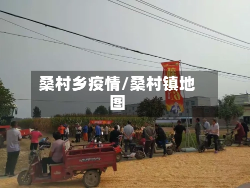 桑村乡疫情/桑村镇地图