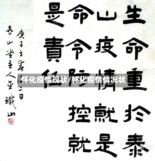 怀化疫情现状/怀化疫情情况状