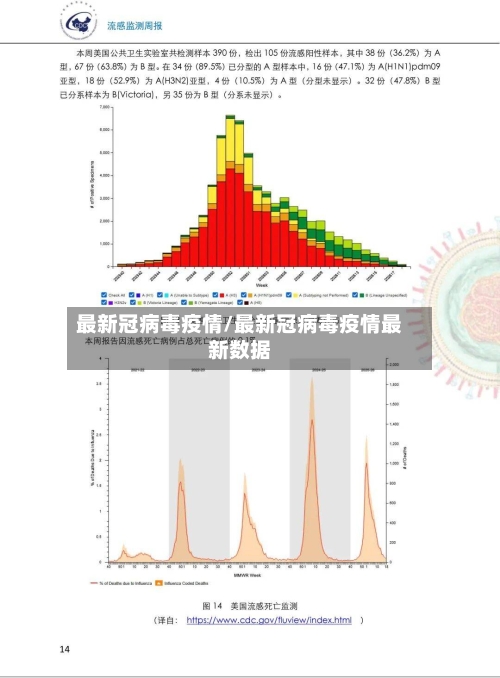最新冠病毒疫情/最新冠病毒疫情最新数据