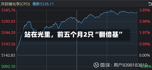 站在光里，前五个月2只“翻倍基”