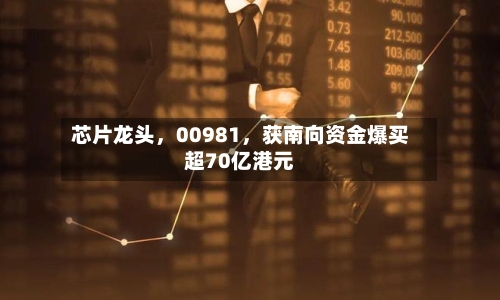 芯片龙头，00981，获南向资金爆买超70亿港元