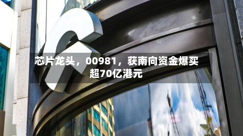 芯片龙头，00981，获南向资金爆买超70亿港元-第3张图片