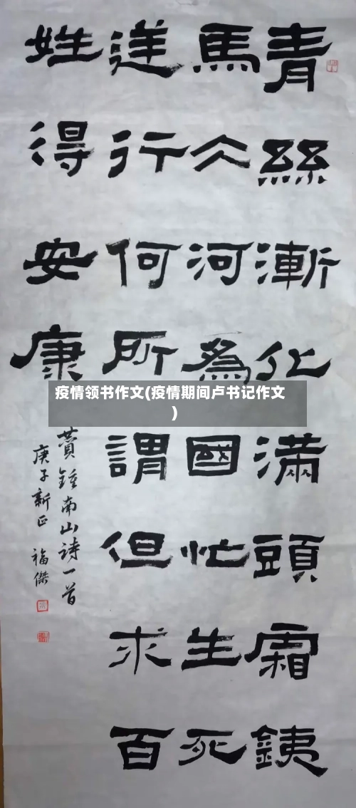 疫情领书作文(疫情期间卢书记作文)