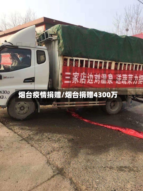 烟台疫情捐赠/烟台捐赠4300万