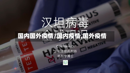 国内国外疫情/国内疫情,国外疫情